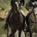 Franschhoek: Half Day Horse Trail and Wine Tasting - Why This Tour Stands Out