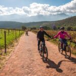 Franschhoek: Private E-bike Ride & Wine Experience - Who Would Love This Tour?