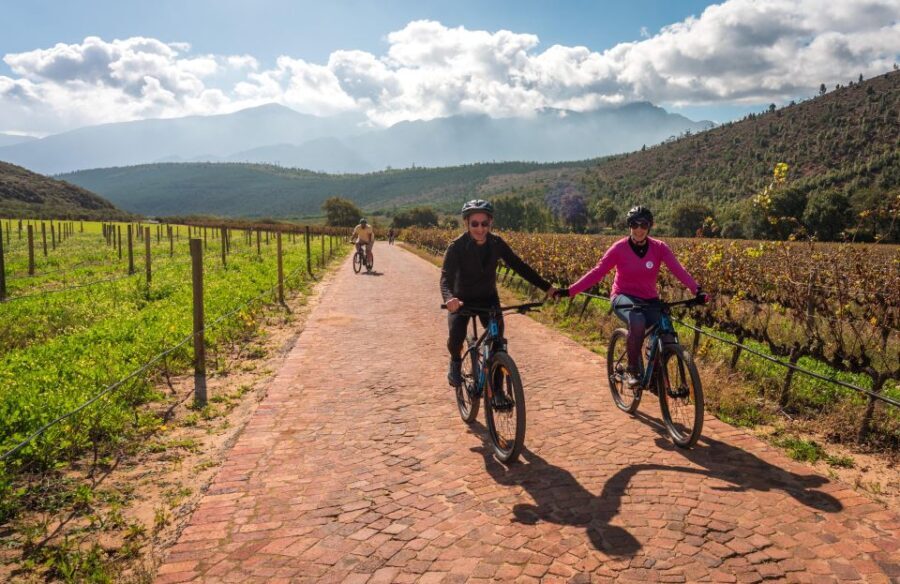 Franschhoek: Private E-bike Ride & Wine Experience - Who Would Love This Tour?