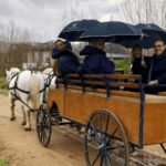 Franschhoek: Vrede en Lust Wine Estate 1H Carriage Ride - Practical Details and What to Expect