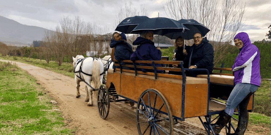 Franschhoek: Vrede en Lust Wine Estate 1H Carriage Ride - Practical Details and What to Expect