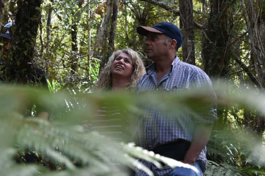 Franz Josef Glacier: 2.5-Hour Lake Mapourika Cruise and Walk - What’s Included & Practical Details