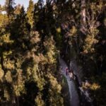 Franz Josef: Half-Day Guided Tour to Okarito - Who Will Love This Tour?