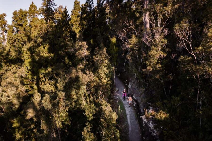 Franz Josef: Half-Day Guided Tour to Okarito - Who Will Love This Tour?