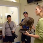 Franz Josef: Kiwi VIP Backstage Pass Tour - Education and Conservation — Why It Matters
