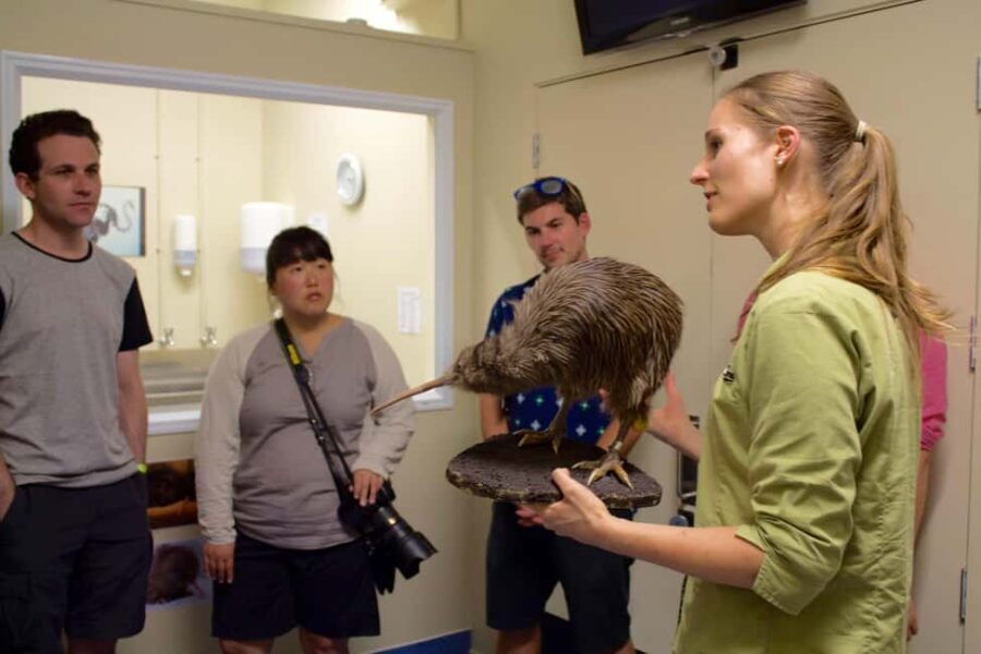 Franz Josef: Kiwi VIP Backstage Pass Tour - Education and Conservation — Why It Matters