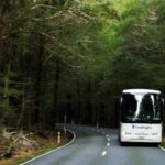 Franz Josef to Queenstown Day Tour - Transportation and Guide