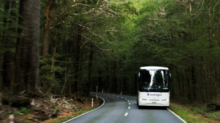Franz Josef to Queenstown Day Tour - Transportation and Guide