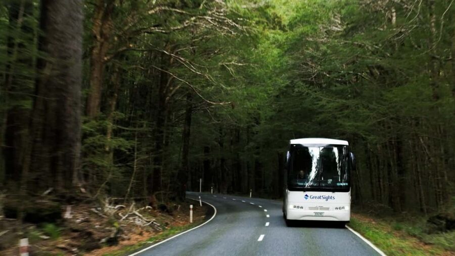 Franz Josef to Queenstown Day Tour - Transportation and Guide