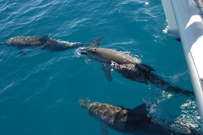Fraser Island & Dolphin Sailing Adventure - The Itinerary Explored