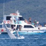 Freedom 3/4 Day Hervey Bay Premium Whale Watching Cruise - The Authentic Experience: What Travelers Are Saying