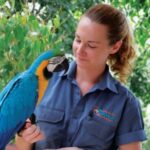 Friends in the Rainforest Package: Koala Gardens & Birdworld - Value and Practical Considerations