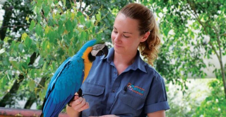 Friends in the Rainforest Package: Koala Gardens & Birdworld - Value and Practical Considerations