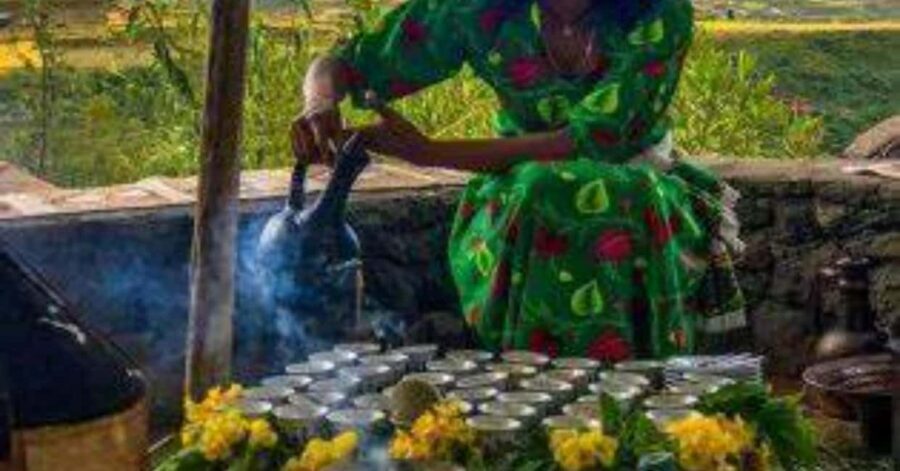 From Addis Ababa: 10-Day Coffee Tour with Camping - What Sets This Tour Apart: The Experience and Value