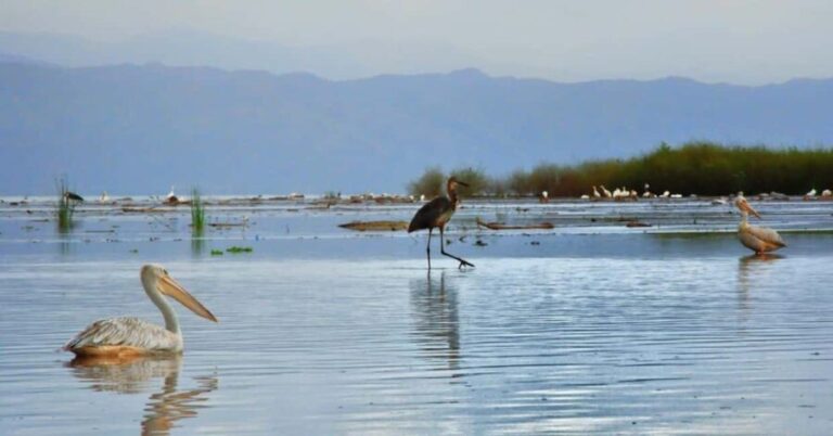 From Addis Ababa: 10-Day Omo Valley and Rift Valley Tour - Day 2: From the Capital to the Rift Valley Lakes