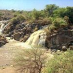 From Addis Ababa: 2-Day Awash National Park Tour with Dinner - The Value of the Tour