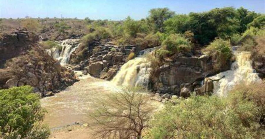 From Addis Ababa: 2-Day Awash National Park Tour with Dinner - The Value of the Tour