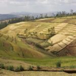 From Addis Ababa: Adadi Mariam, Tiya, and Melka Kunture Day - What to Expect and Practical Details