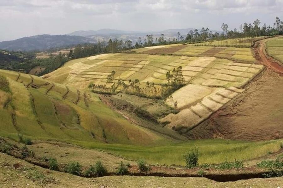 From Addis Ababa: Adadi Mariam, Tiya, and Melka Kunture Day - What to Expect and Practical Details