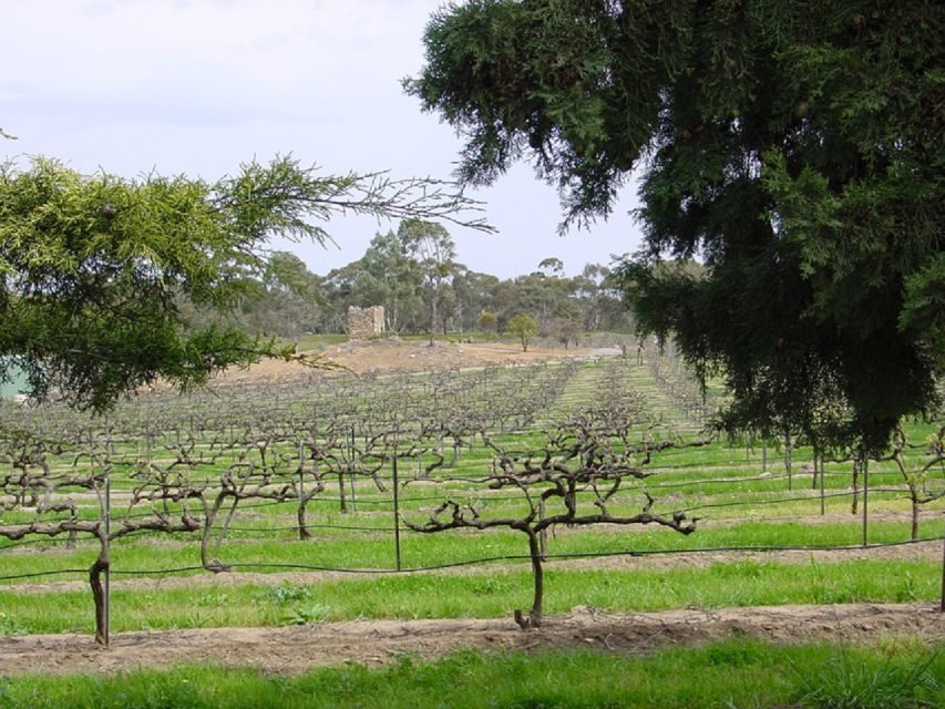 From Adelaide: Clare Valley Winery Tour - Wineries and Tastings: A Journey Through Flavor