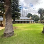 From Adelaide: Divine Wine Tour in the Adelaide Hills - Mount Lofty Summit: A Must-See Panorama