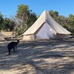 From Adelaide: Kangaroo Island Epic 2-Day Small Group Tour - Why This Tour Stands Out