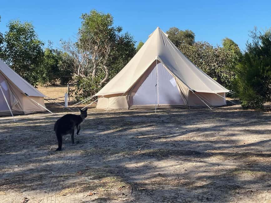 From Adelaide: Kangaroo Island Epic 2-Day Small Group Tour - Why This Tour Stands Out