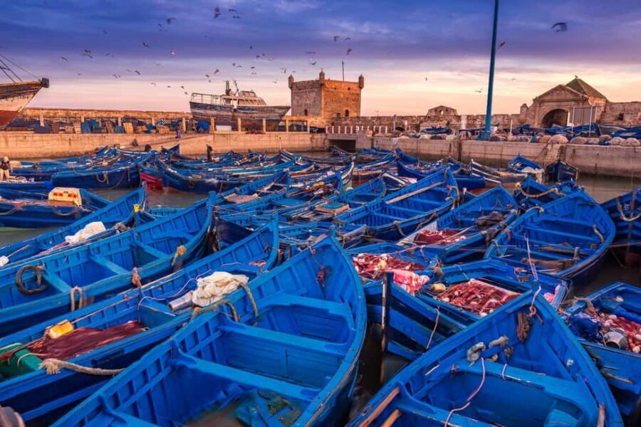 From Agadir: 2-Day Private Tour to Marrakech via Essaouira - Discovering Marrakech’s Vibrant Heart