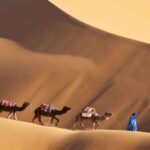 From Agadir : 4-Day Private Desert Trip to Zagora & Merzouga - Why This Tour Works Well