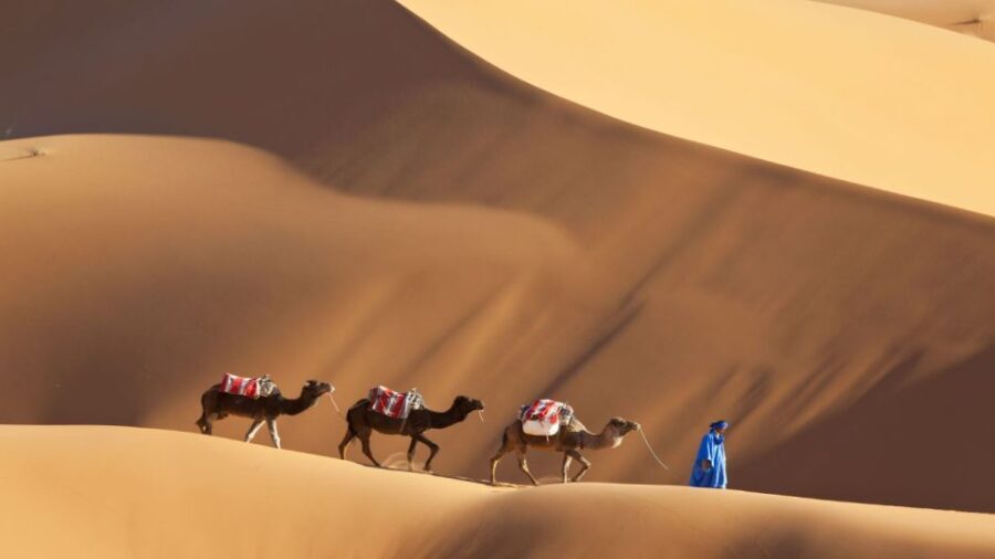 From Agadir : 4-Day Private Desert Trip to Zagora & Merzouga - Why This Tour Works Well