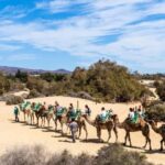 From Agadir: Camel Ride and Flamingo Trek - Transportation, Timing, and Group Size