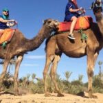 From Agadir: Camel Ride Tour with Hotel Pickup and Drop-Off - Who Would Love This Tour?