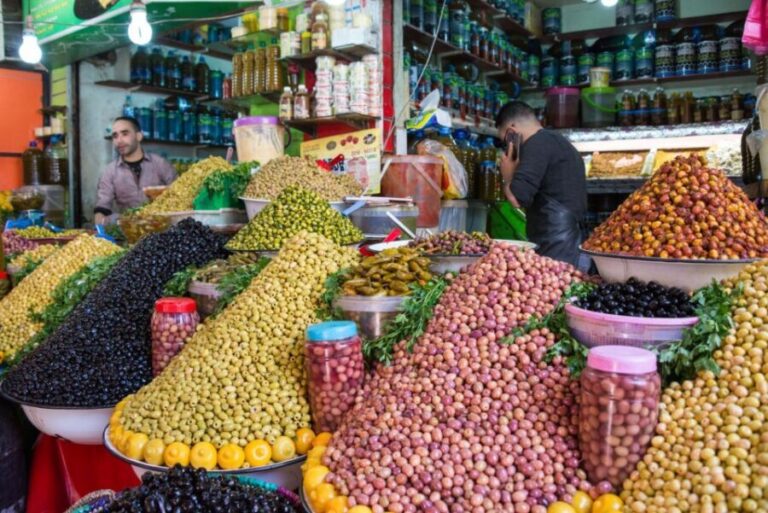 From Agadir: City Tour with Hotel or Port Transfers - Who Should Consider This Tour?