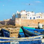 From Agadir : Day in Essaouira with Transfer - Artistic Atmosphere and Free Time