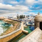 From Agadir: Essaouira Excursion Full Day Trip - The Goats & Argain Cooperative