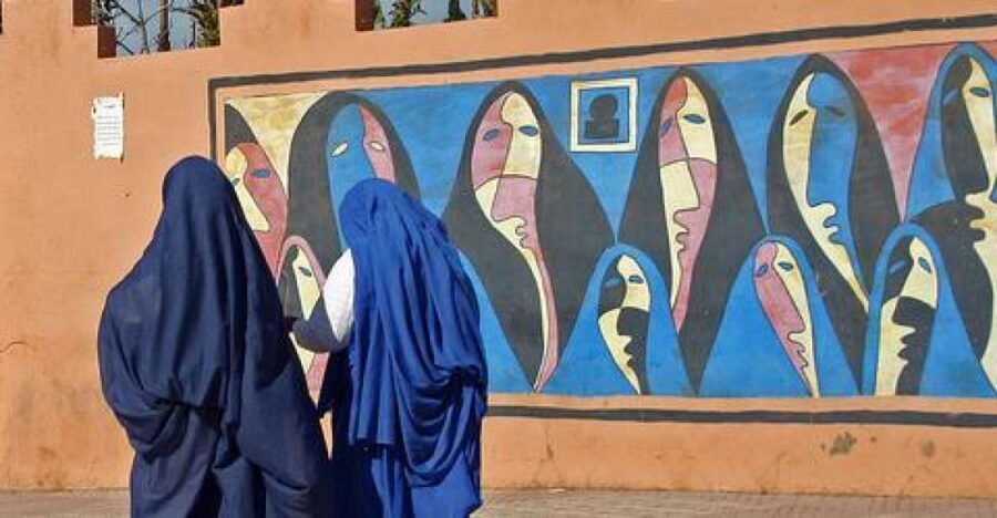 From Agadir: Half-Day Tour to Taroudant - Who Will Love This Tour?