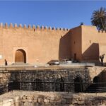 From Agadir: Legzira Beach & Tiznit Day Trip with Lunch - Practical Aspects and What to Expect