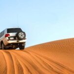 From Agadir: Mini Sahara Day Tour with Lunch - Tiznit: The Old Walled Berber City
