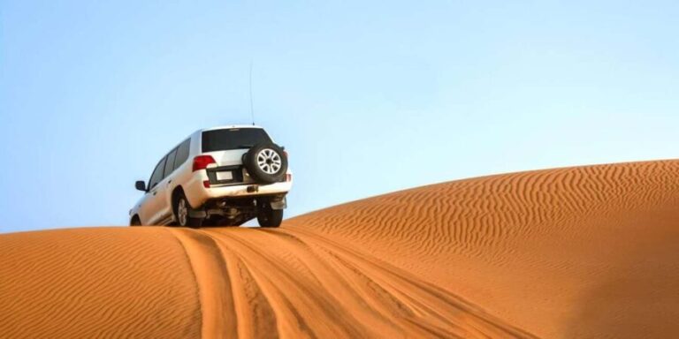 From Agadir: Mini Sahara Day Tour with Lunch - Tiznit: The Old Walled Berber City