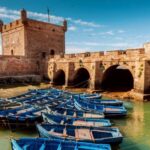 From Agadir or Taghazout: Essaouira Day Trip with Transfer - The Itinerary: What to Expect on This Day Trip