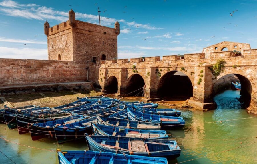 From Agadir or Taghazout: Essaouira Day Trip with Transfer - The Itinerary: What to Expect on This Day Trip