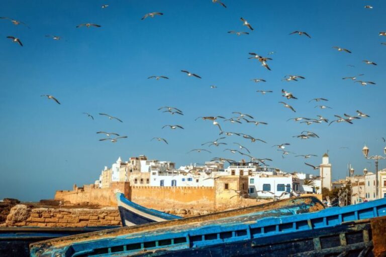 From Agadir or Taghazout: Essaouira Full-Day Trip with Guide - What Travelers Say