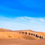 From Agadir: Private 3-Day Merzouga Desert Tour To Marrakech - Practical Details and Value