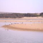From Agadir: Souss Massa National Park Tour - What’s Included and What’s Not