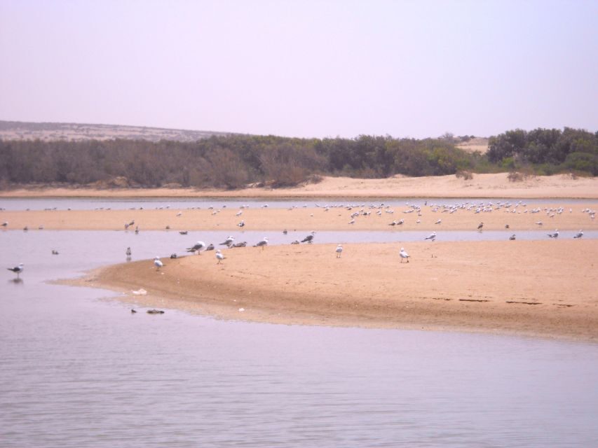From Agadir: Souss Massa National Park Tour - What’s Included and What’s Not