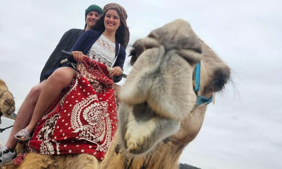 From Agadir: Souss River Camel Ride - What to Expect from the Tour
