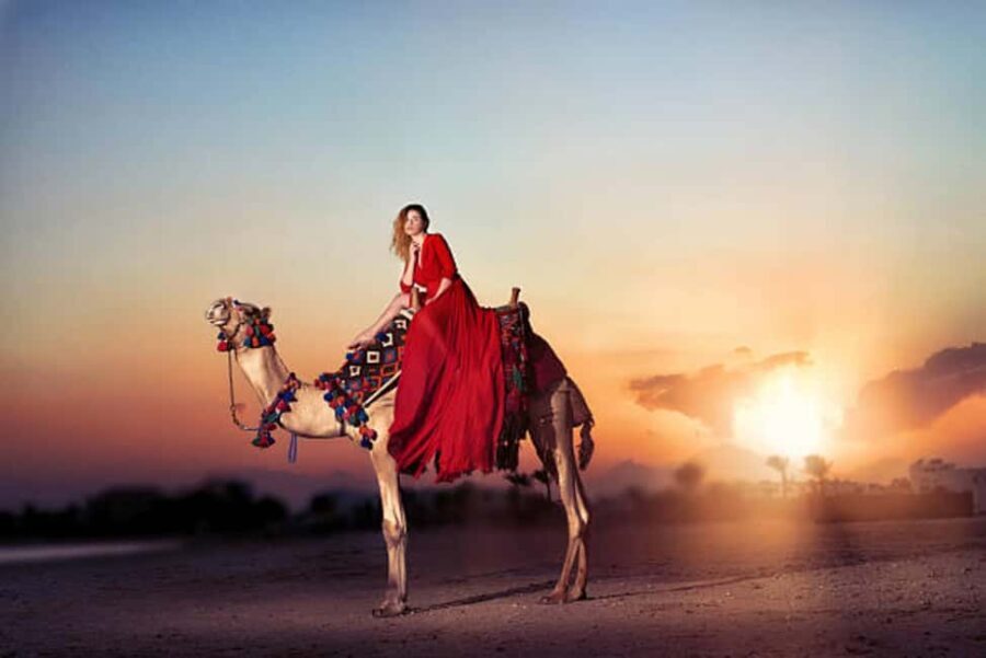 From Agadir: Sunset Camel Ride with BBQ Dinner and Transfers - Why This Tour Offers Good Value
