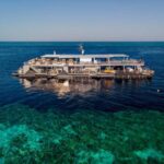 From Airlie Beach: Great Barrier Reef Pontoon Experience - The Full Experience: What to Expect on the Trip