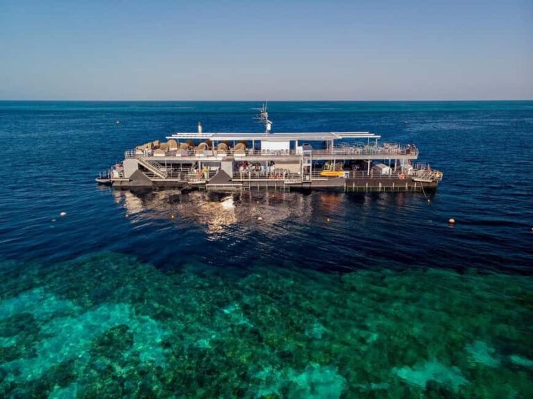 From Airlie Beach: Great Barrier Reef Pontoon Experience - The Full Experience: What to Expect on the Trip