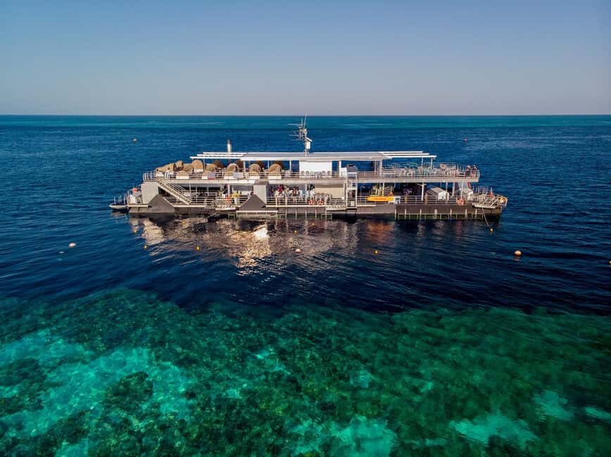 From Airlie Beach: Great Barrier Reef Pontoon Experience - The Full Experience: What to Expect on the Trip